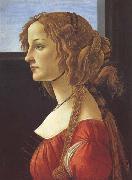 Porfile of a Young Woman (mk45) Sandro Botticelli